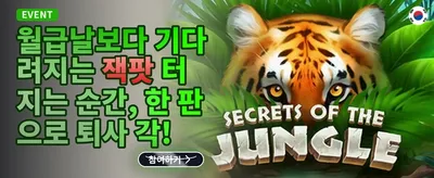 인기 슬롯 200회 무료 스핀 promotion