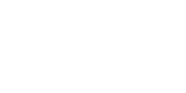 넷엔트 logo